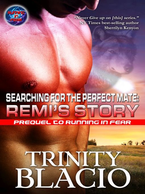 Cover image for Serching for The Perfect Mate, Remi's Story